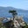 Susan Hale Glass's profile image