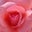 Claudette MacDonald's profile image