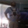 Jd Sides's profile image