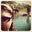 Kelley Fitzgerald's profile image