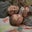 Amber Martz's profile image
