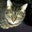 Lici Di's profile image