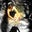 Nichole Shuster's profile image