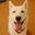Derrick Leong's profile image