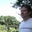Greg Otte's profile image