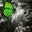 Carrie Van Buskirk's profile image