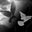 Frantz Merisier's profile image