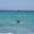 Debra Nespor's profile image