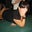 Cristina Villacis's profile image