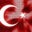 Aysegul T's profile image