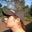 Nicole Keren's profile image