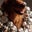 Jeannine Lalonde's profile image