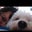Michelle Rodriguez's profile image