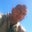 Pedro Gutierrez's profile image