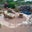 Deb Brumley's profile image