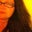 Carol Manis, CNA's profile image