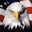 John Anthony's profile image