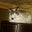 SNOWIE's profile image