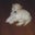 Paul's profile image