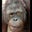 Jonathan Liston's profile image
