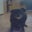 Lucy Jane's profile image