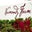 Normandy Farm Hotel & Conference Center's profile image