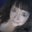 Deborah Horton's profile image