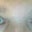 Jeffrey Leopold's profile image