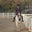 Lauren Zabroske's profile image