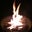 Amber Cline's profile image