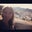 Elysha Beckerman's profile image