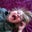 Brandi Baushke's profile image
