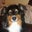 Angie Williams's profile image