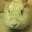 Elizabeth Redpath's profile image