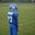 Spencer Berthold's profile image