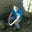 James Corter's profile image