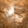 Howard Myrie's profile image