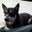 Patti Maxwell Hines's profile image