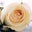 Adia Williams's profile image
