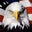 Robert Hudson's profile image