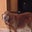 Louise M's profile image