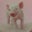 Lynne DuVall's profile image