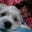 Emmie Moy's profile image