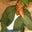 Stephen Tukes's profile image
