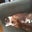 The crazy cat lady 6789's profile image