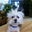 Tammy Riesgo's profile image