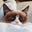 Joyce Shamlin's profile image