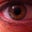 Jeff Zissman's profile image