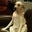 Carrie Emley's profile image