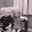 Cathi Harris's profile image